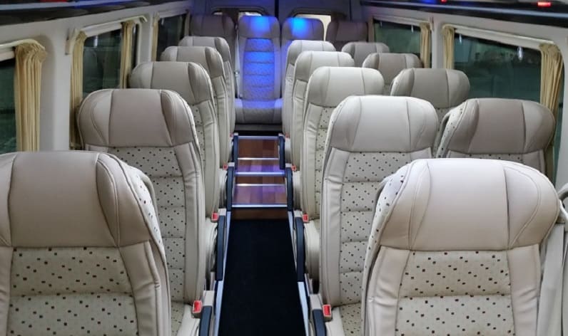 Vojvodina: Coach company in South Banat District in South Banat District and Vršac